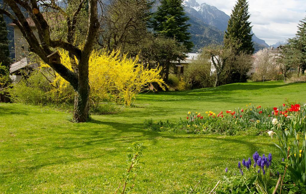 B&B Rossodisera Domegge di Cadore Eksteriør bilde
